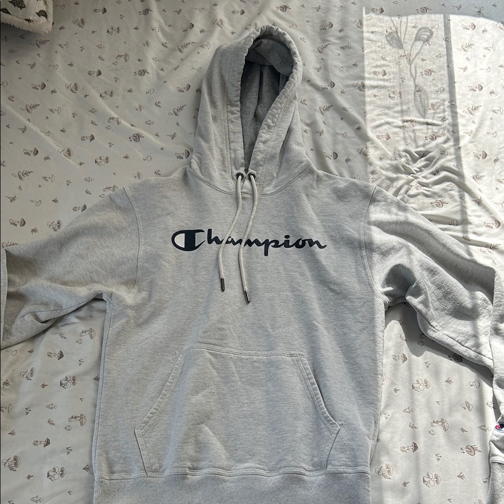 Champion Gray Hoodie
